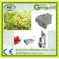 Stainless steel industrial date machine of grading